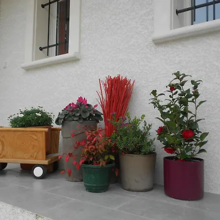 Un Bouquet De Tangissart Semesterbostad Villepinte (Aude)