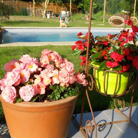 Un Bouquet De Tangissart Nyaraló *